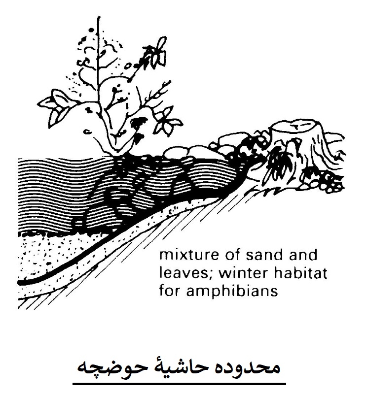 حاشیۀ حوضچه